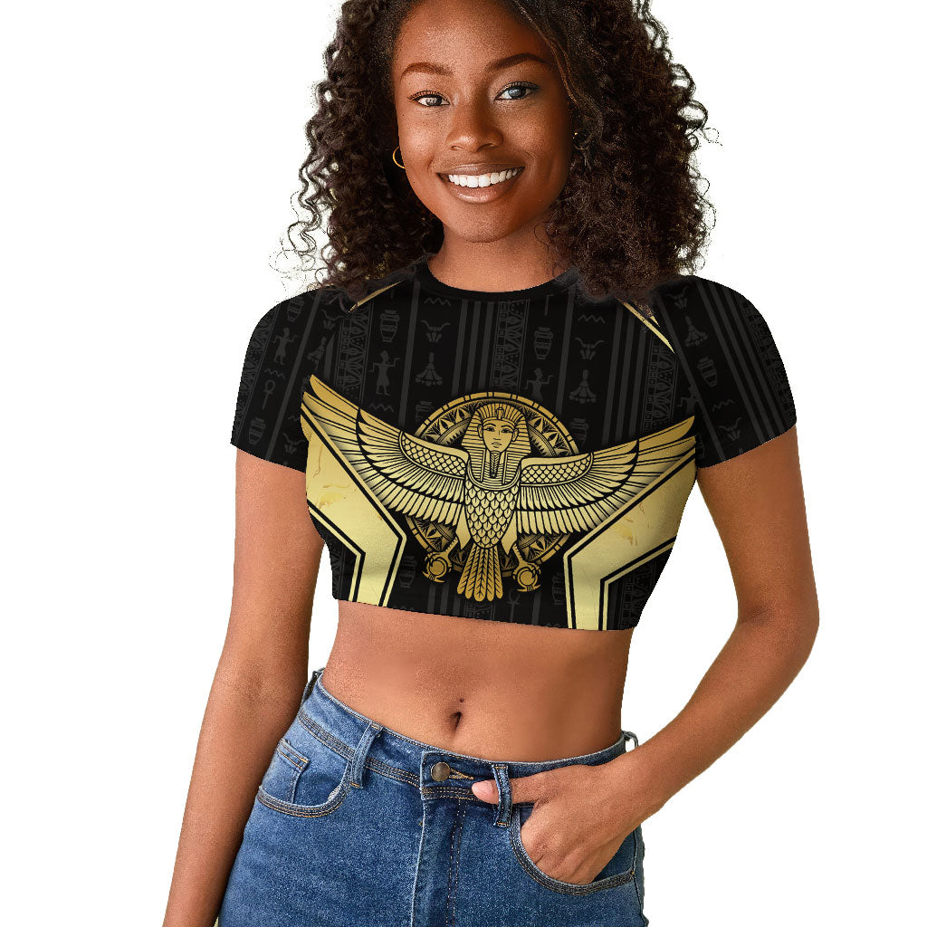 Egypt BA Raglan Cropped T shirt Winged Pharaoh Hieroglyphic Patterns