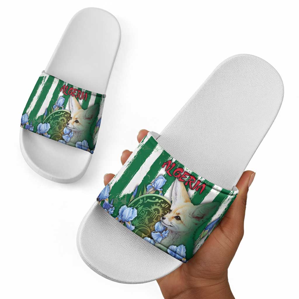 Algeria Slide Sandals Fennec And Iris Grunge Style - African Pride