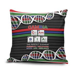 Gambia Pillow Cover Perfect Periodic Element Of African - African Pride