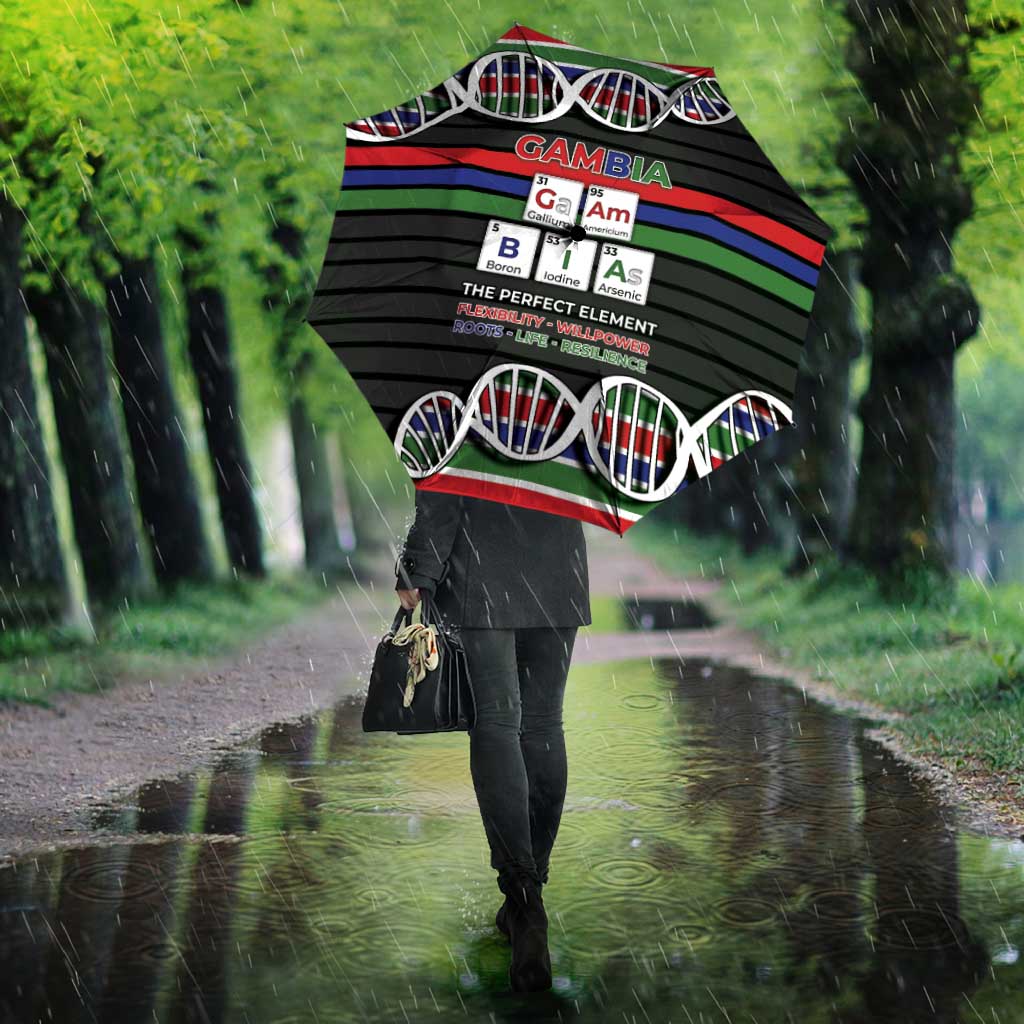 Gambia Umbrella Perfect Periodic Element Of African - African Pride