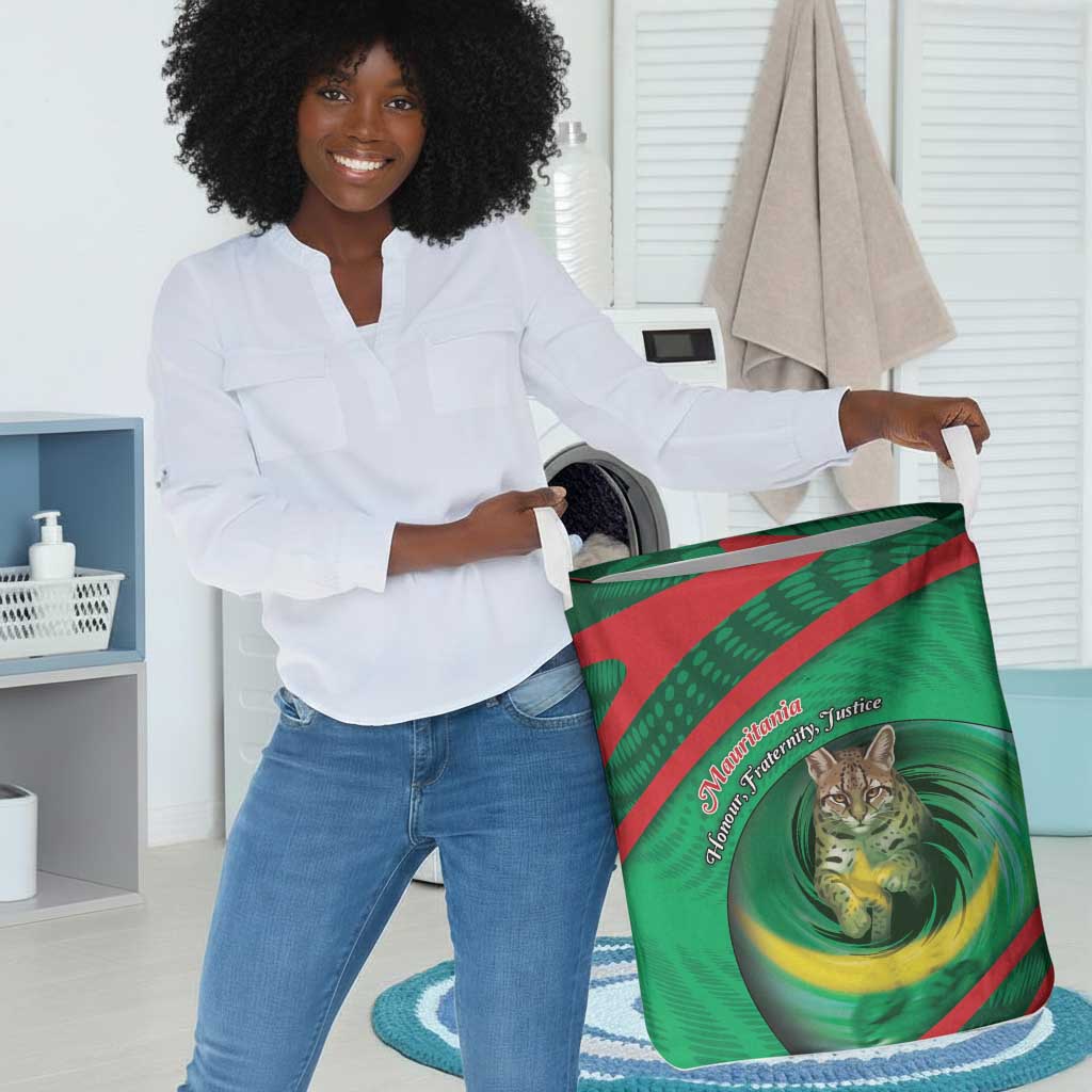 Mauritania Laundry Basket African Wildcat From Richat Structure