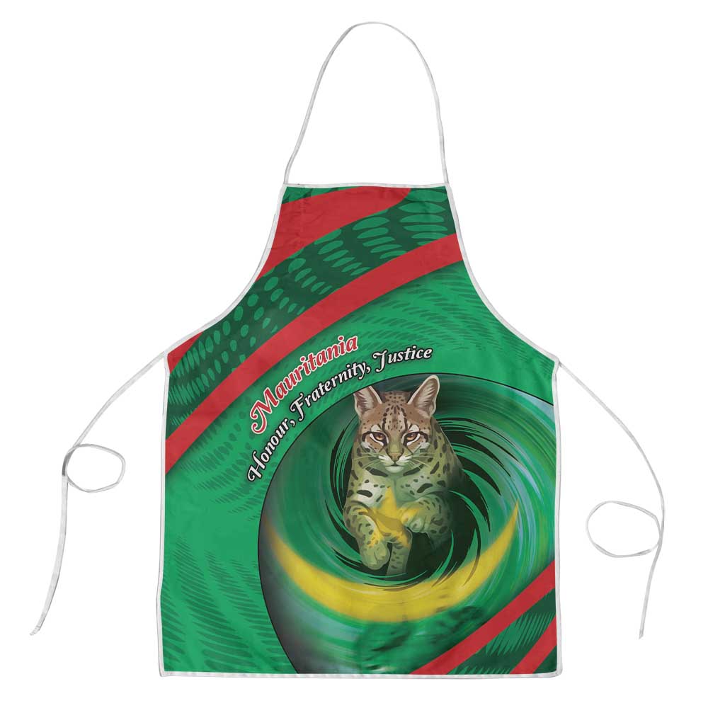 Mauritania Apron African Wildcat From Richat Structure