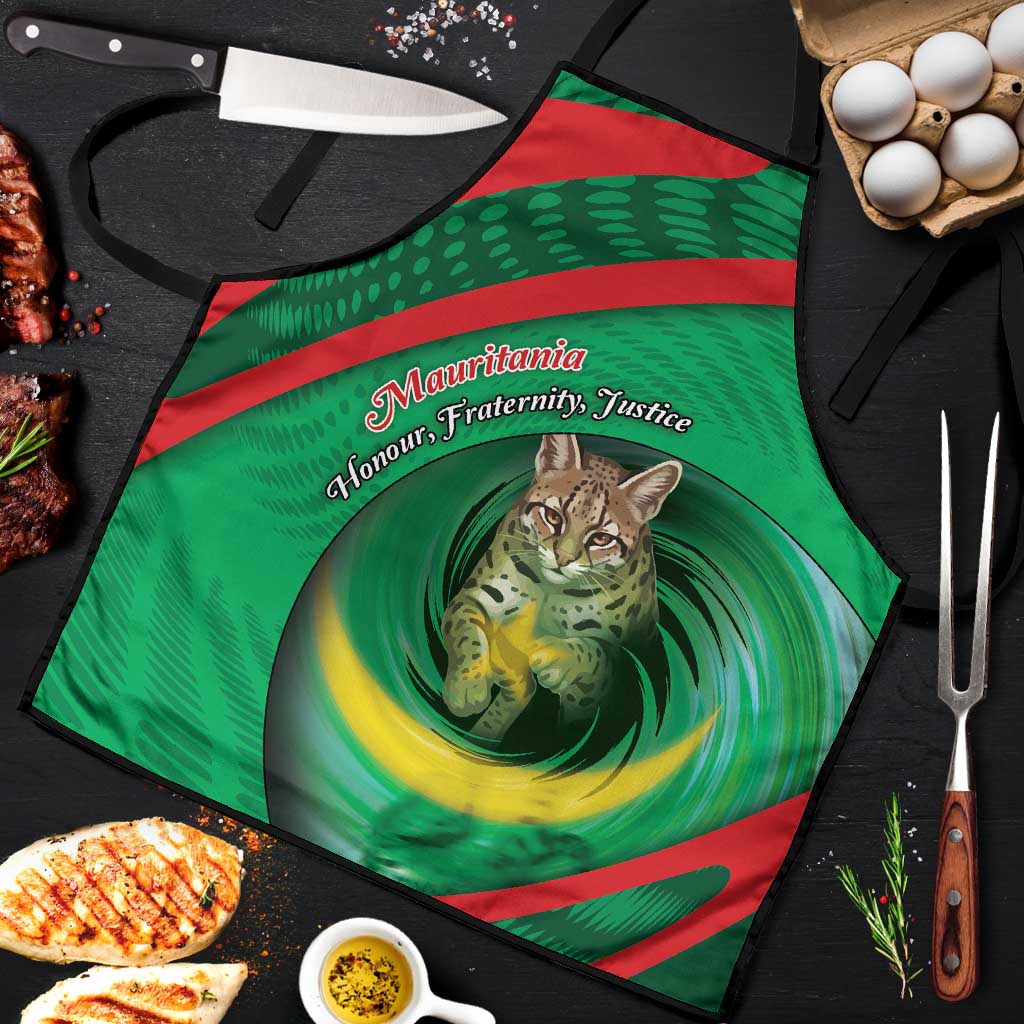 Mauritania Apron African Wildcat From Richat Structure