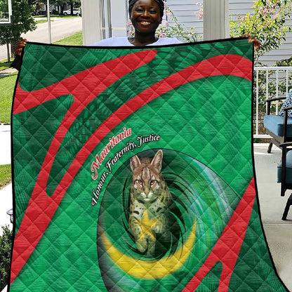 Mauritania Quilt African Wildcat From Richat Structure