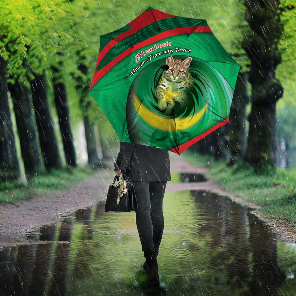 Mauritania Umbrella African Wildcat From Richat Structure