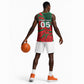 Custom Morocco Football Basketball Jersey Pentagram Red Lion African