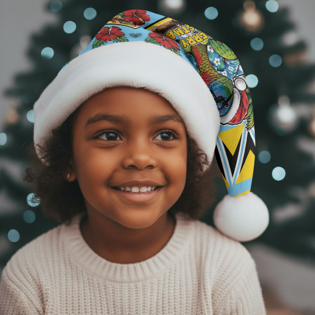 Afro-Saint Lucian Christmas Santa Hat This Amazona Parrot Needs A Beach Retreat
