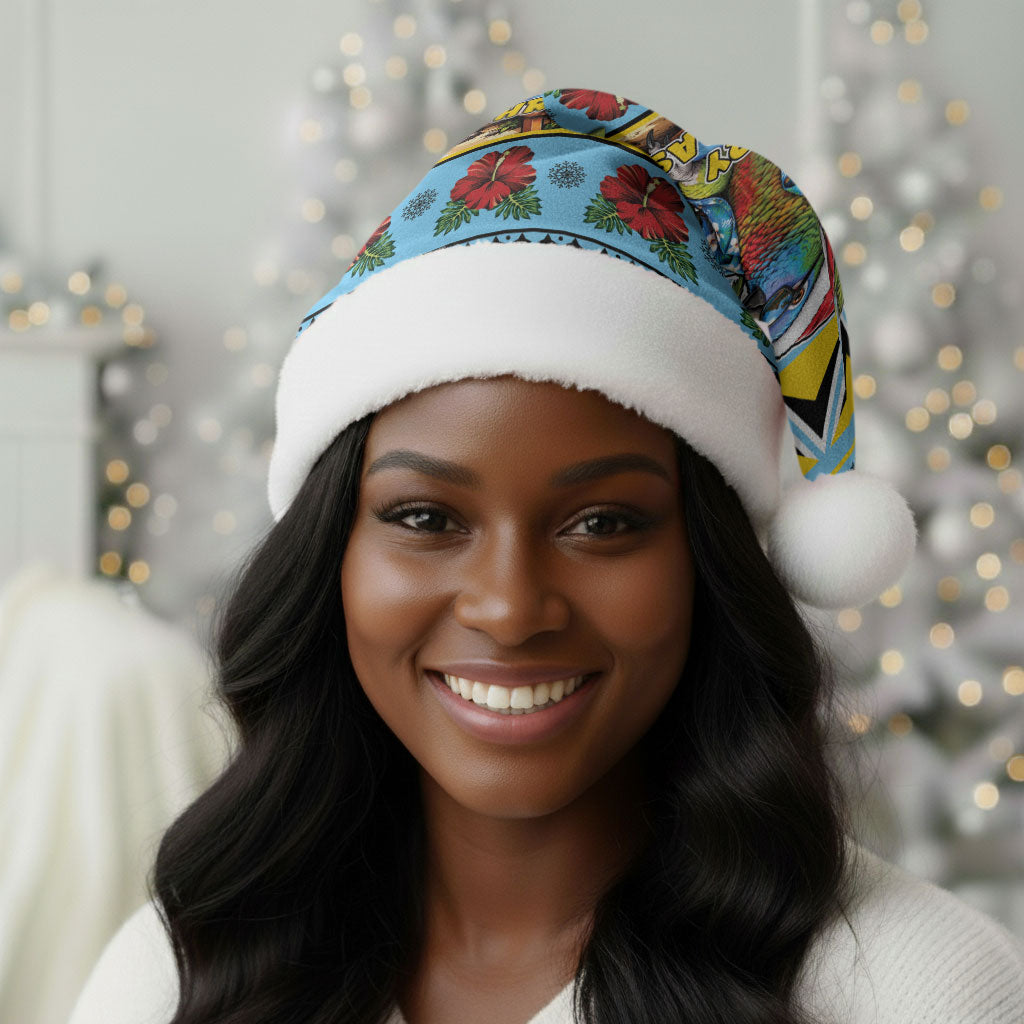 Afro-Saint Lucian Christmas Santa Hat This Amazona Parrot Needs A Beach Retreat