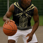 Assyria Empire Sleeveless Hoodie Assyrian Mythological Spirit - African Pride