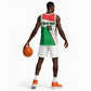 Support Les Etalons - Burkina Faso Football Basketball Jersey LT01