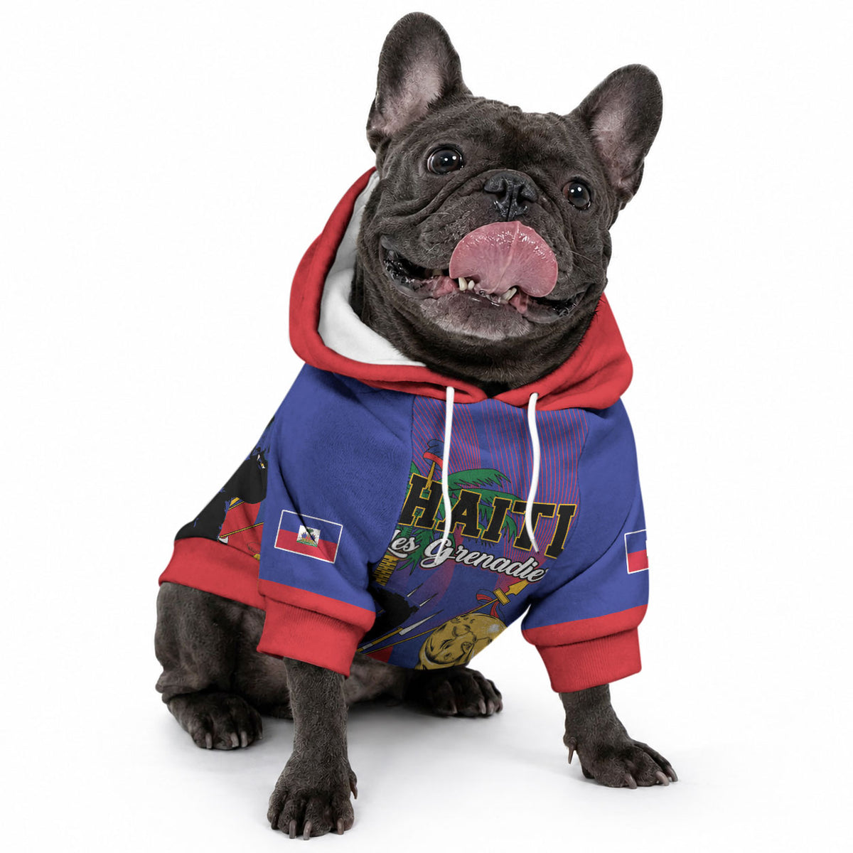 Custom Haiti World Football 2026 Pet Hoodie Go Les Grenadiers