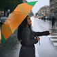 Ivory Coast Football 2026 Umbrella Go Les Elephants