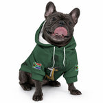 South Africa Rugby Pride Pet Hoodie Springbok With King Protea