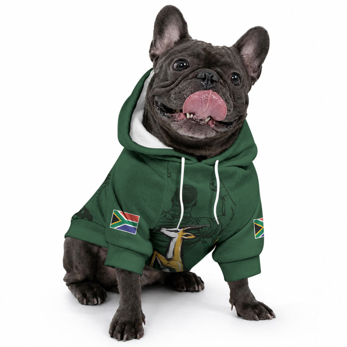 South Africa Rugby Pride Pet Hoodie Springbok With King Protea