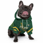 South Africa Rugby 2023 Custom Pet Hoodie Champions GO Bokke