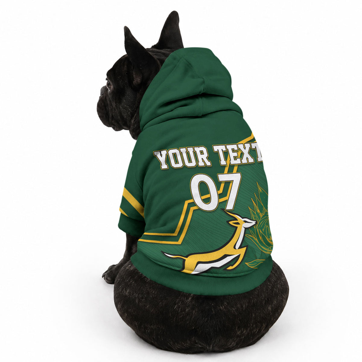 South Africa Rugby 2023 Custom Pet Hoodie Champions GO Bokke