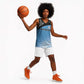 Botswana Cricket Custom Basketball Jersey Baggy Blues African Zebra Skins Pattern LT9