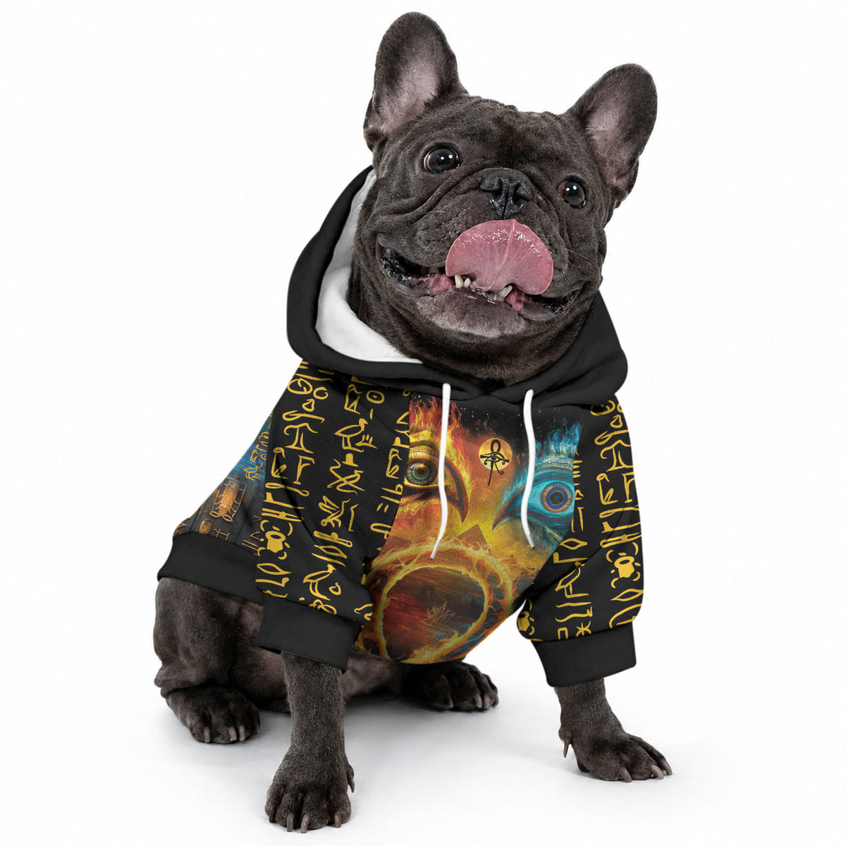 Eye of Ra and Eye of Horus Pet Hoodie Power and Magic Ancient Egyptian Mythology
