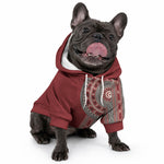 Tunisia Bakhnug Motif Pet Hoodie Traditional Tunisian Embroidery Inspired