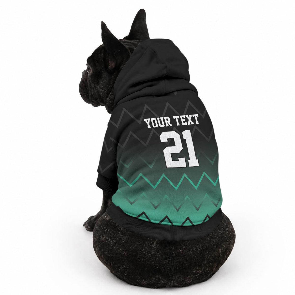 Custom Football African Tanzania Pet Hoodie Retro 2023-24 Tanzania History