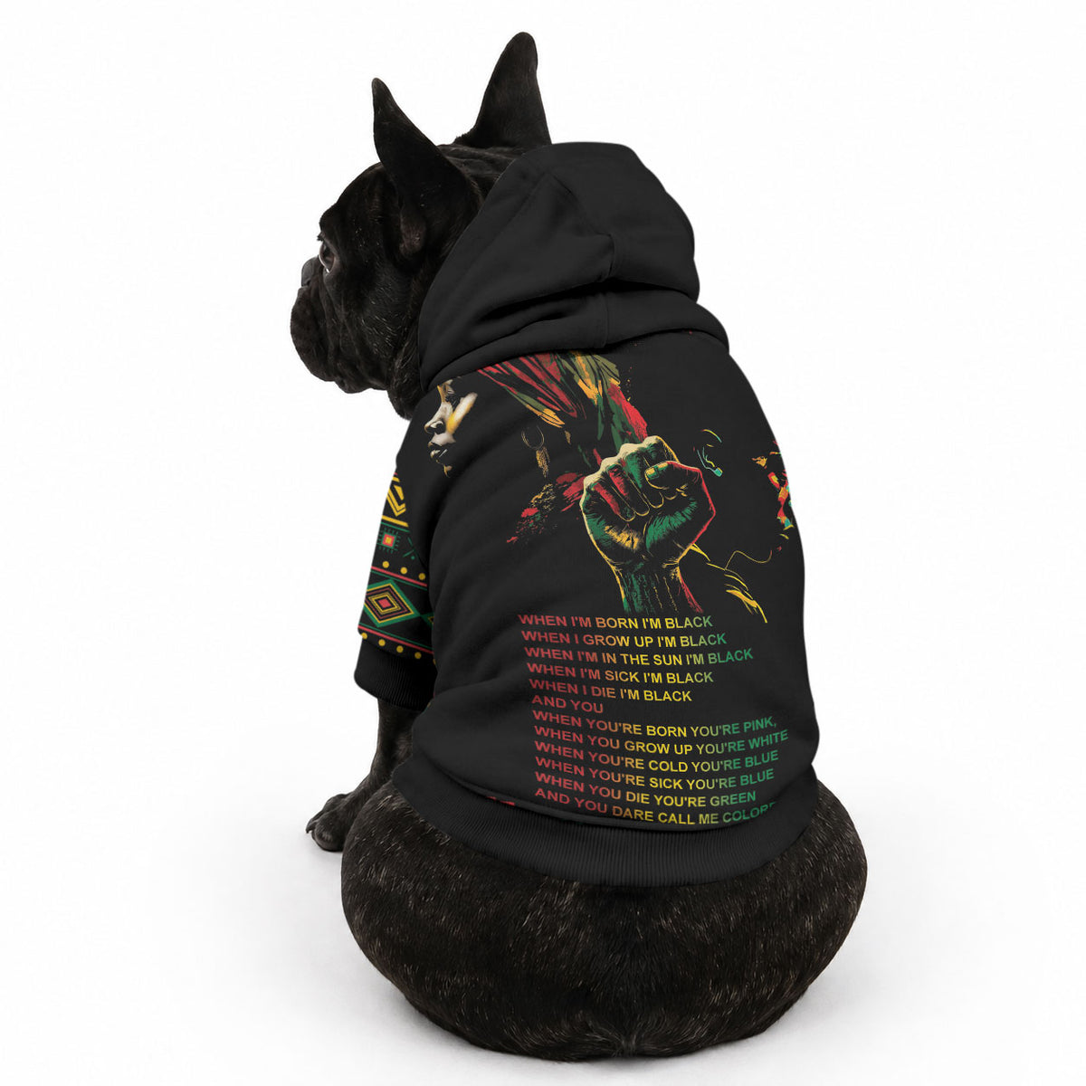 When I'm Born I'm Black Pet Hoodie Black History Black Month