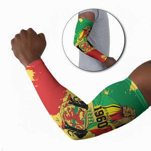 Republic of The Congo Independence Day Personalized Arm Sleeves Congo-Brazzaville Since 1960