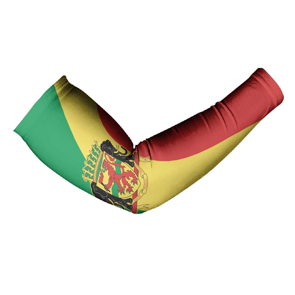 Republic of The Congo Personalized Arm Sleeves Simple Flag Style
