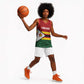 Custom Africa Cricket Zimbabwe Basketball Jersey Zimbabwean Pattern Flag Motif LT9