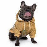 Africa King Proteas Dashiki Motif Pet Hoodie Gold Style