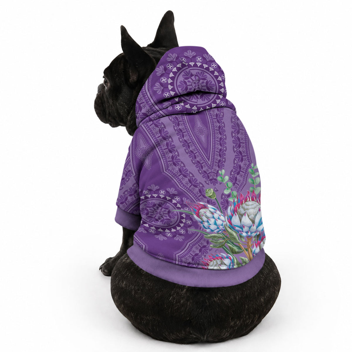 Africa King Proteas Dashiki Motif Pet Hoodie Violet Style