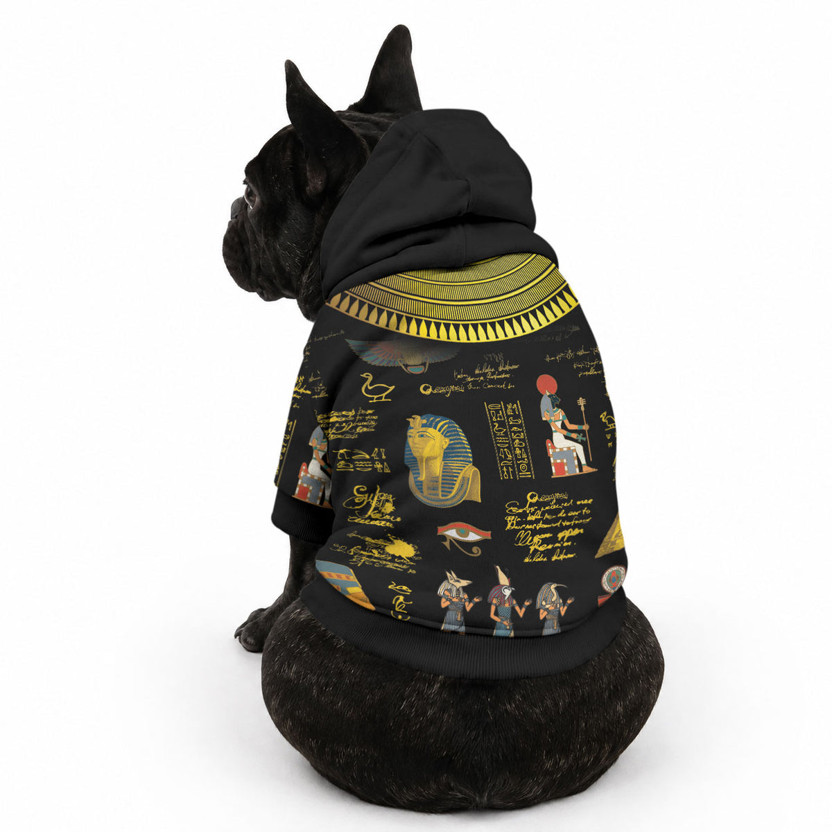 Ancient Egypt and Hieroglyphs Pet Hoodie