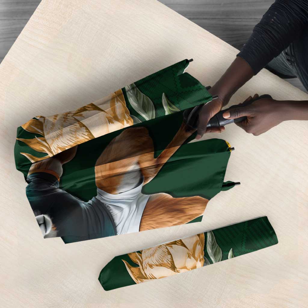 South Africa Rugby History World Champions Umbrella Springboks Make History