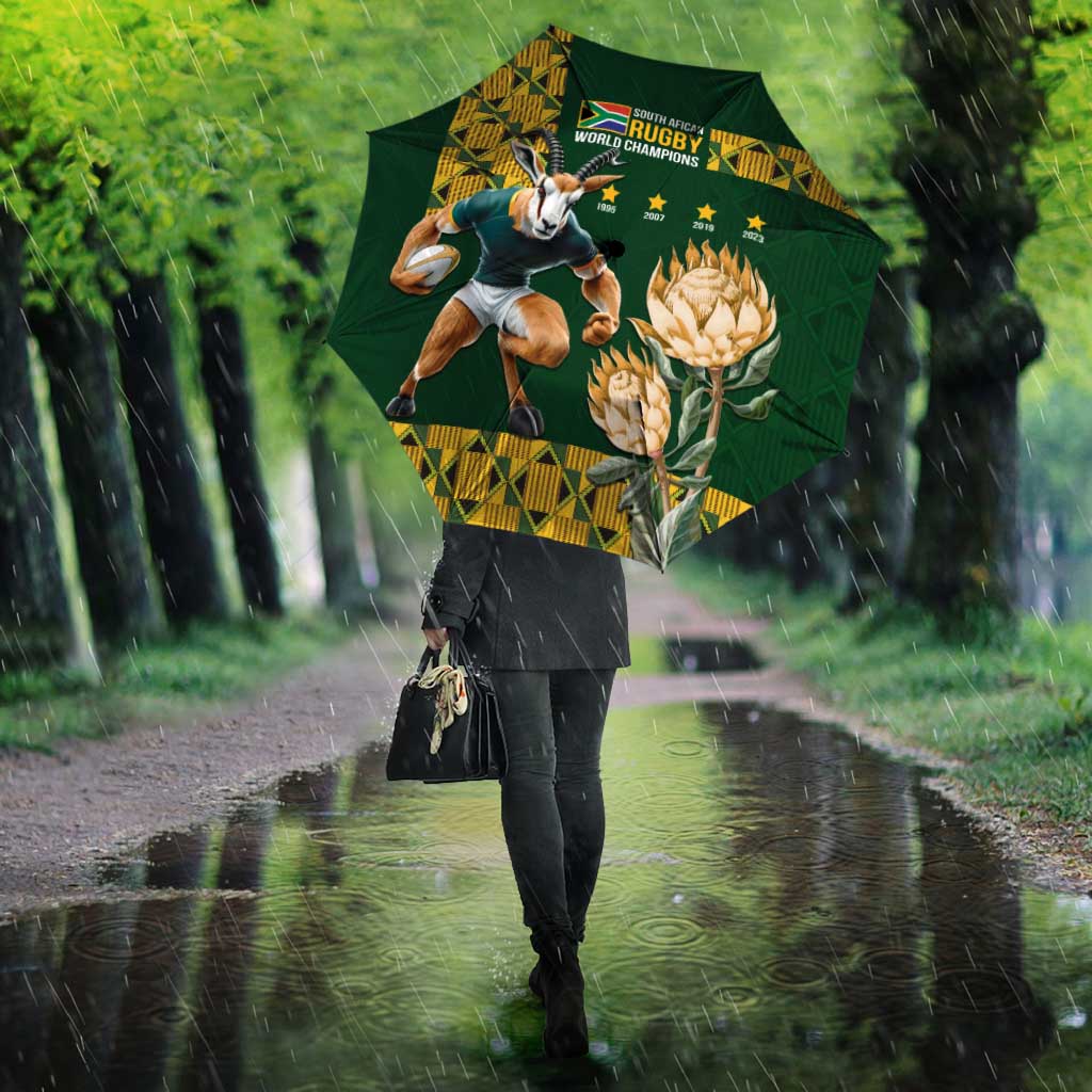 South Africa Rugby History World Champions Umbrella Springboks Make History