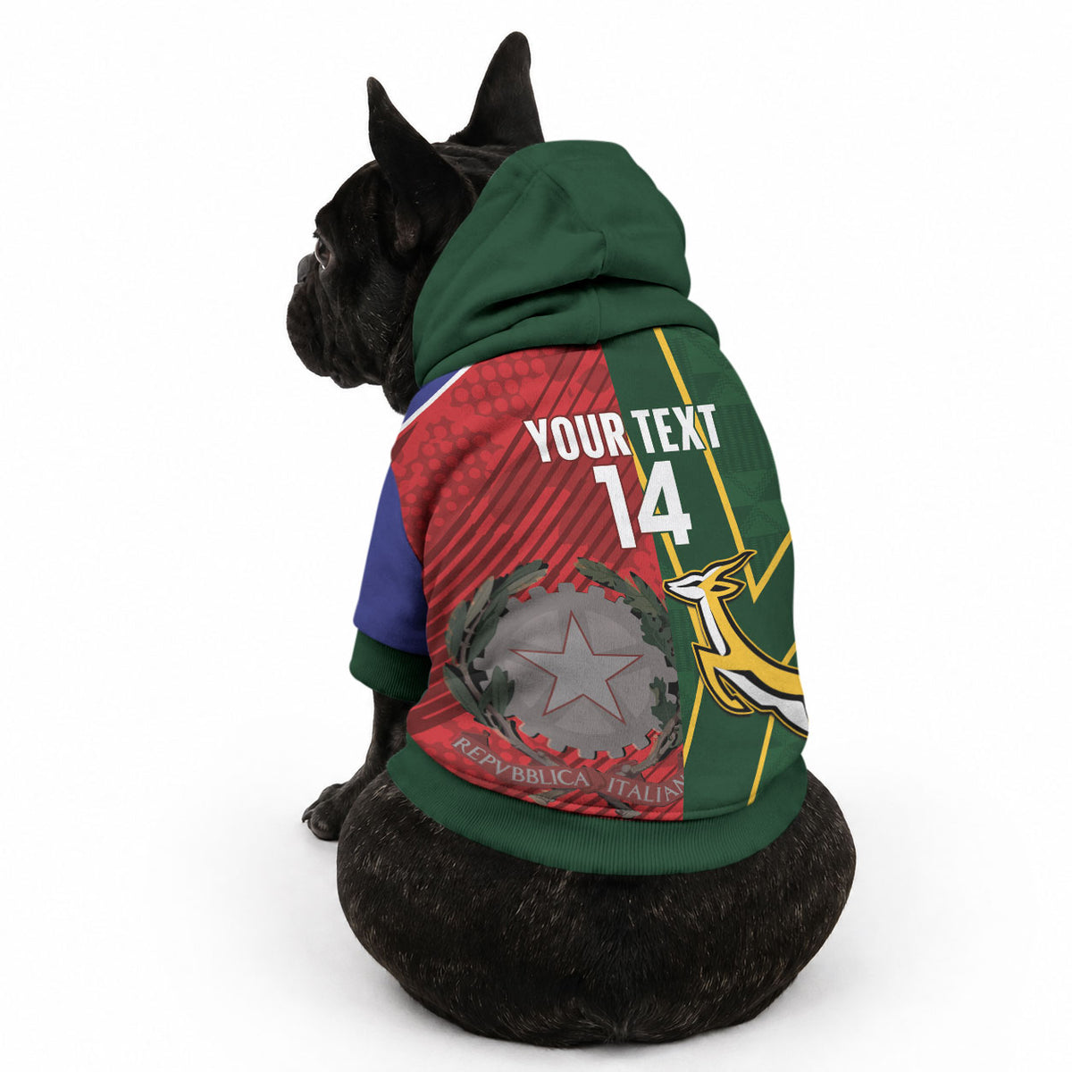 South Africa and Italy Rugby Custom Pet Hoodie Springboks Gli Azzurri Together