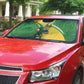 South Africa Rugby Custom Auto Sun Shade Come On Springboks Mascot Sporty Style