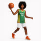 Senegal Basketball 2026 Custom Basketball Jersey Come On Lions African Pattern