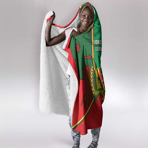 Senegal Football Hooded Blanket 2024 Go Champions Lions De La Teranga