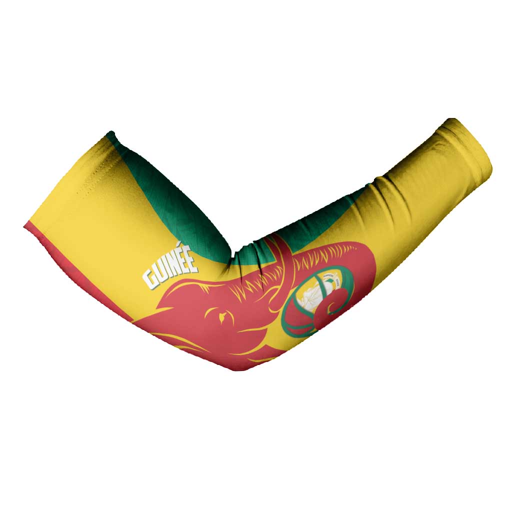 Guinea Basketball Custom Arm Sleeves Syli Nationale African Pattern