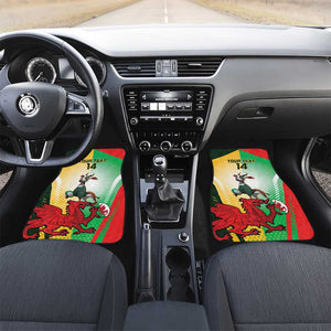 Custom South Africa And Wales Rugby Car Mats Springboks Welsh Mascots Dynamic Version