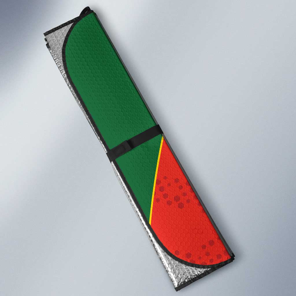 Custom Zimbabwe Cricket Auto Sun Shade Go Chevrons 2003 Color Version