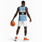Afro Cricket Botswana Custom Basketball Jersey Go Baggy Blues Zebra Mascot LT14