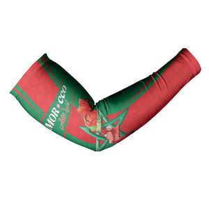 Custom Morocco Football Arm Sleeves Go Champions Atlas Lions - Red