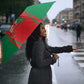 Morocco Football Umbrella Go Champions Atlas Lions - Red