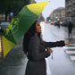 Mali Football Umbrella Go Champions Les Aigles