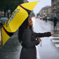 Uganda Cricket Umbrella Go Cricket Cranes