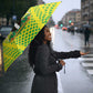 Nigeria Cricket Umbrella Come On Yellow Greens