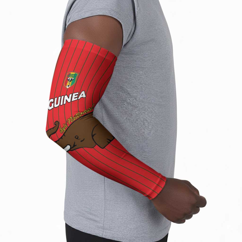 Custom Guinea Football Arm Sleeves Allez Syli National