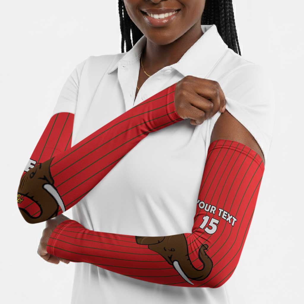 Custom Guinea Football Arm Sleeves Allez Syli National