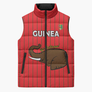 Custom Guinea Football Sleeveless Puffer Jacket Allez Syli National