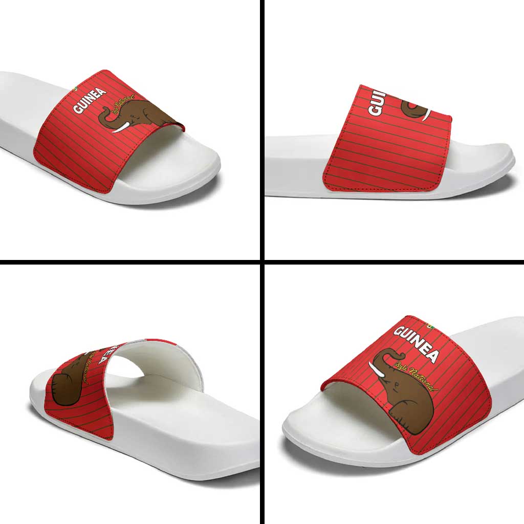 Guinea Football Slide Sandals Allez Syli National